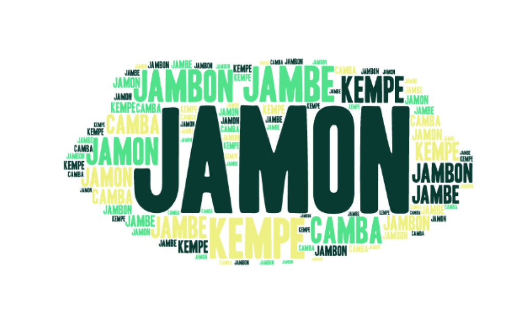 jamon etymology